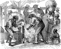The cotton gin created a 25-fold increase in the amount of cotton that could be processed.